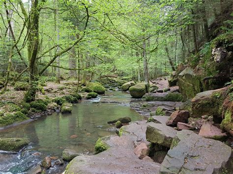 komoot schwarzwald|Ausflugsziele im Schwarzwald